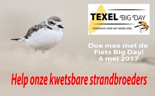 Texel Big Day 6 mei