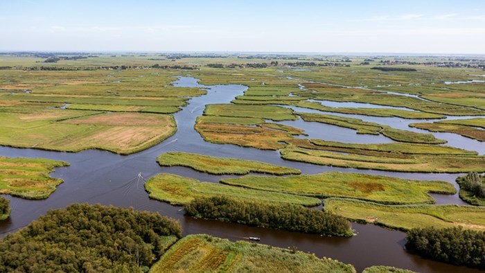 Provincie Noord-Holland vraagt 110-miljoen-euro-aan-voor-herstel-natuur