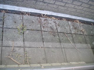 situatiefoto 4, mijn balkon met de oogst aan takken na 1 jaar niet  te hebben opgeruimd, Ossenweide, Zwaag