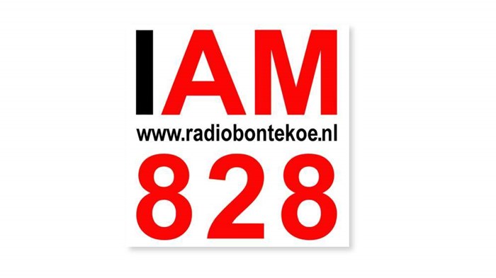 Radio Bontekoe log