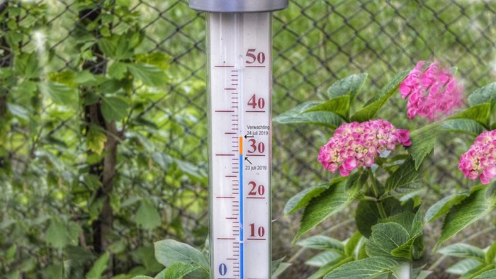 Temperatuur in Hoorn op 23 juli 2019