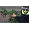 Burgemeester sluit drugswoning Rondeelstraat Hoorn