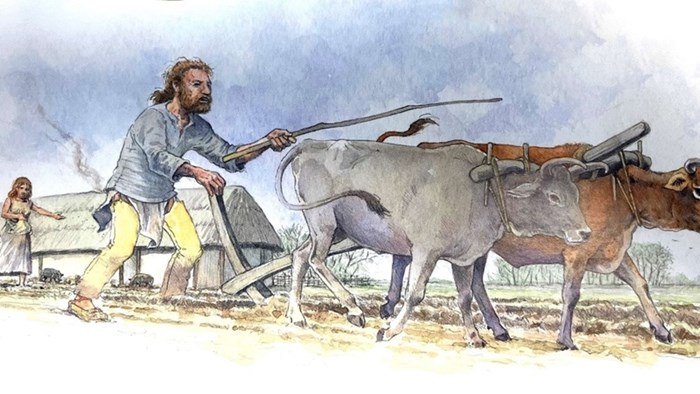 Boerenbedrijf in de Vroege-Bronstijd (2000 - 1800 v.Chr.) 